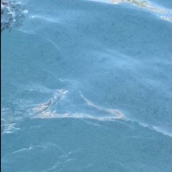 Meet your Posher, Zobeyda - Picture 1 of 1